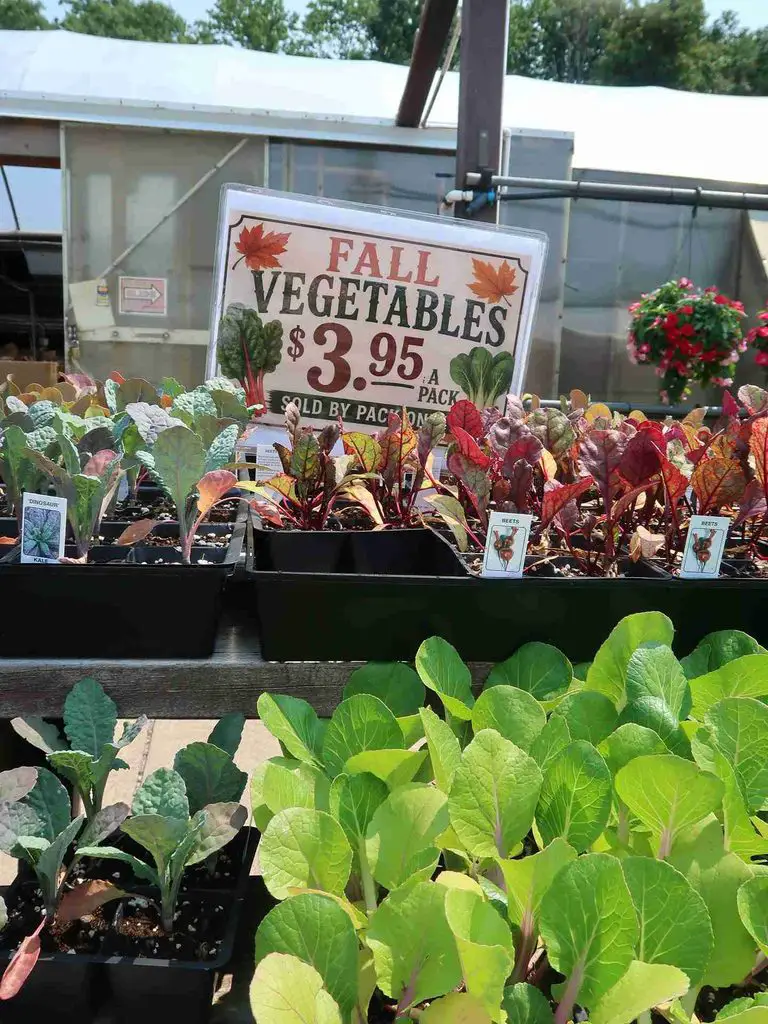 25 Fall Gardening Ideas for a Healthier, Better Prepared Garden 14