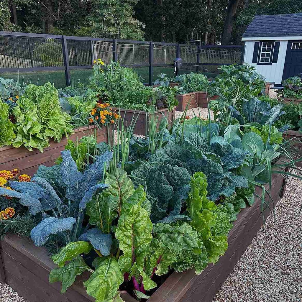 25 Fall Gardening Ideas for a Healthier, Better Prepared Garden 13