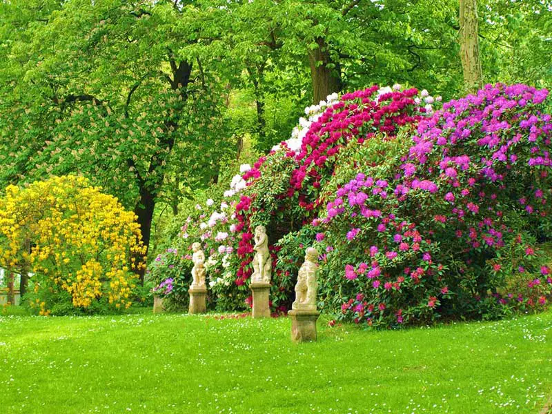 Blooming Rhododendron Bushes and Classical Statues
