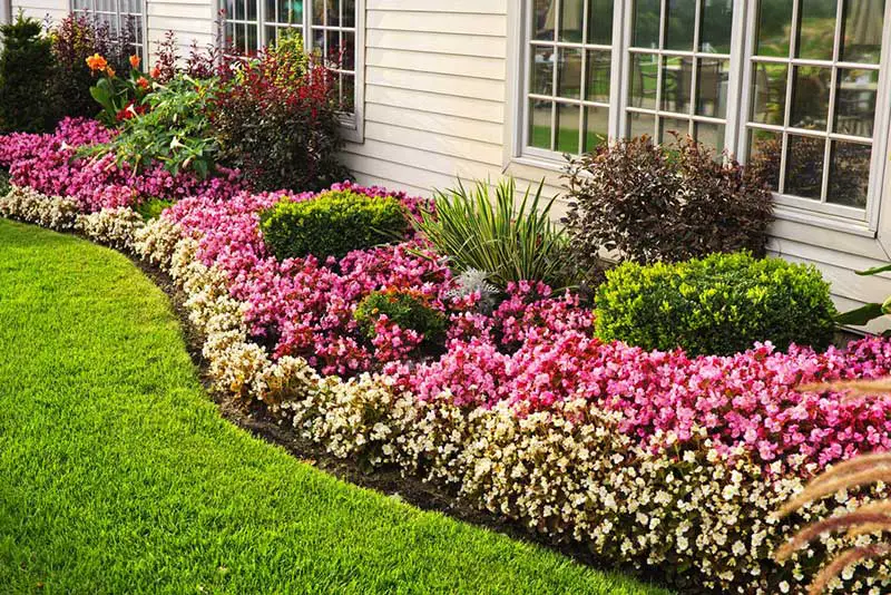 Layered Flower Bed Along House Foundation