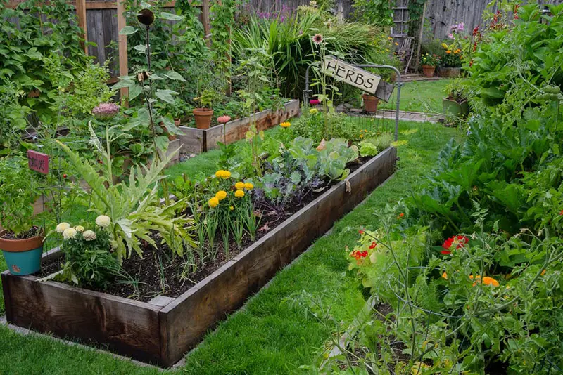 Wooden Raised Herb Bed with Decorative Signage