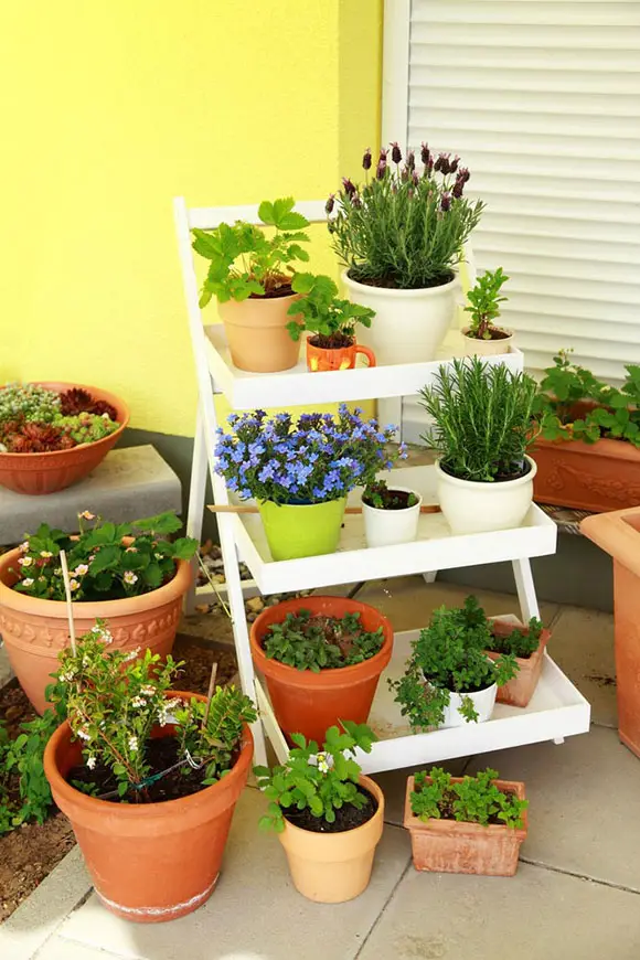 Tiered Plant Stand for Container Gardening