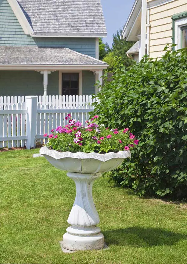 Birdbath Planter Filled with Petunias