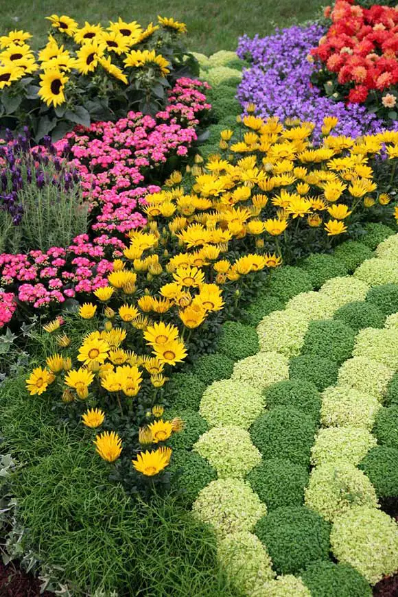 Geometric Multi Colored Flower Bed Layout