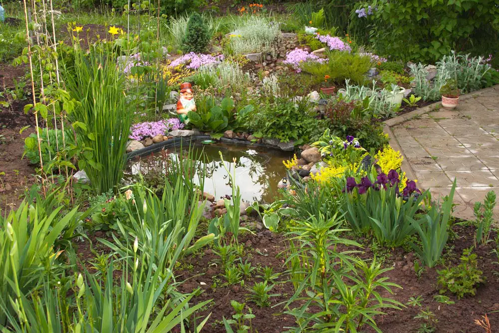 Small Backyard Pond with Gnome Statuary