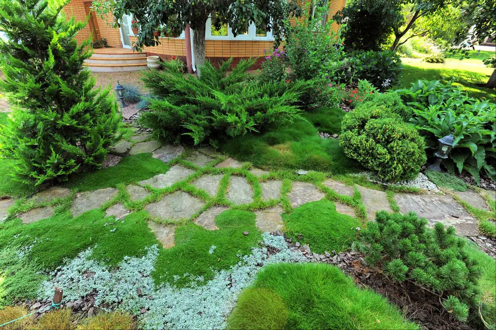 Flagstone Path Set in Soft Moss and Groundcover