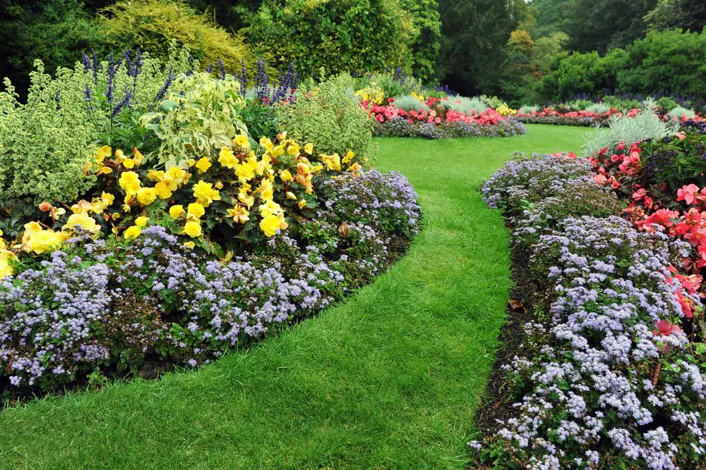 Curving Grass Pathway through Flower Borders