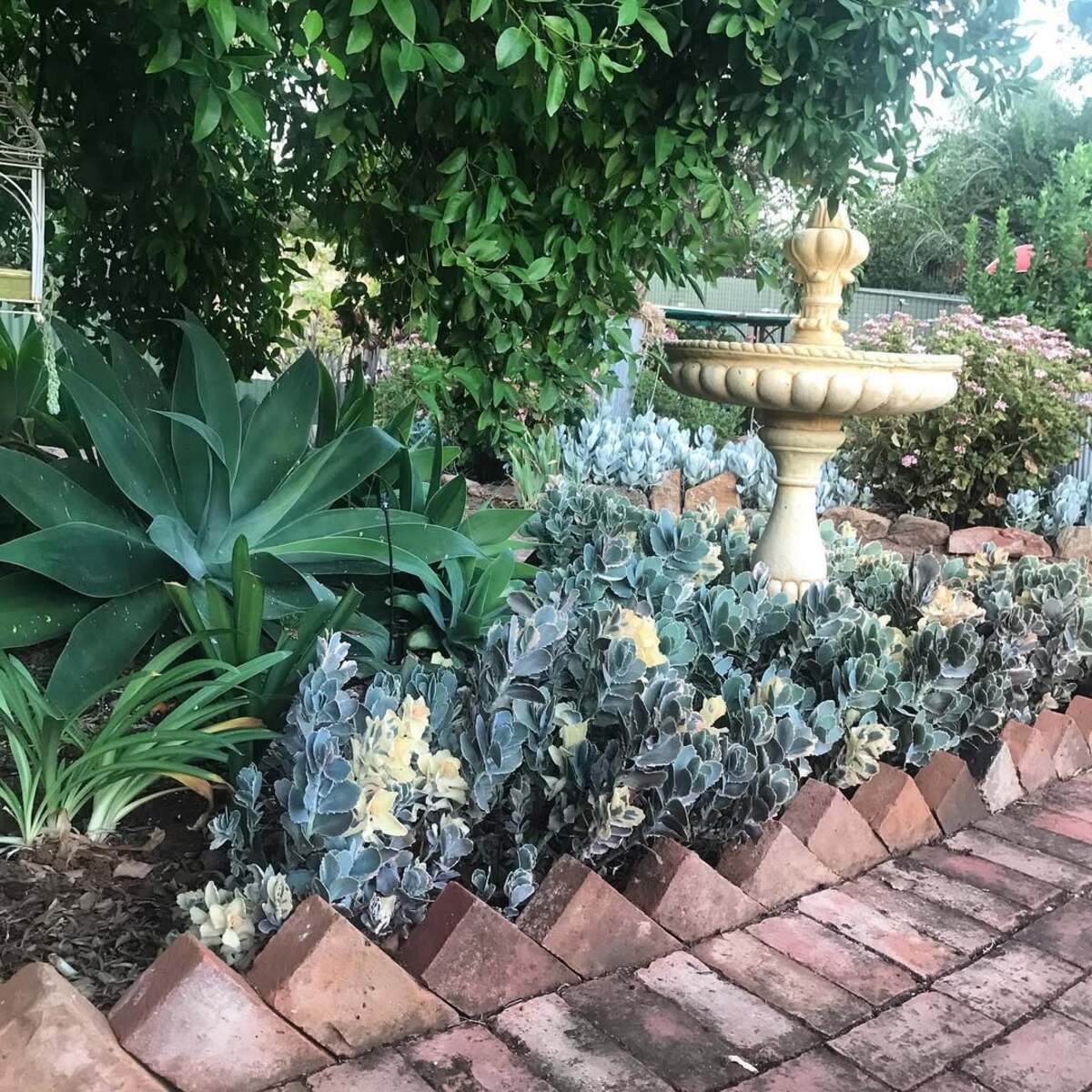 29 Brick Landscaping Ideas to Give Your Yard Timeless Charm 4 Angled Red Brick Border