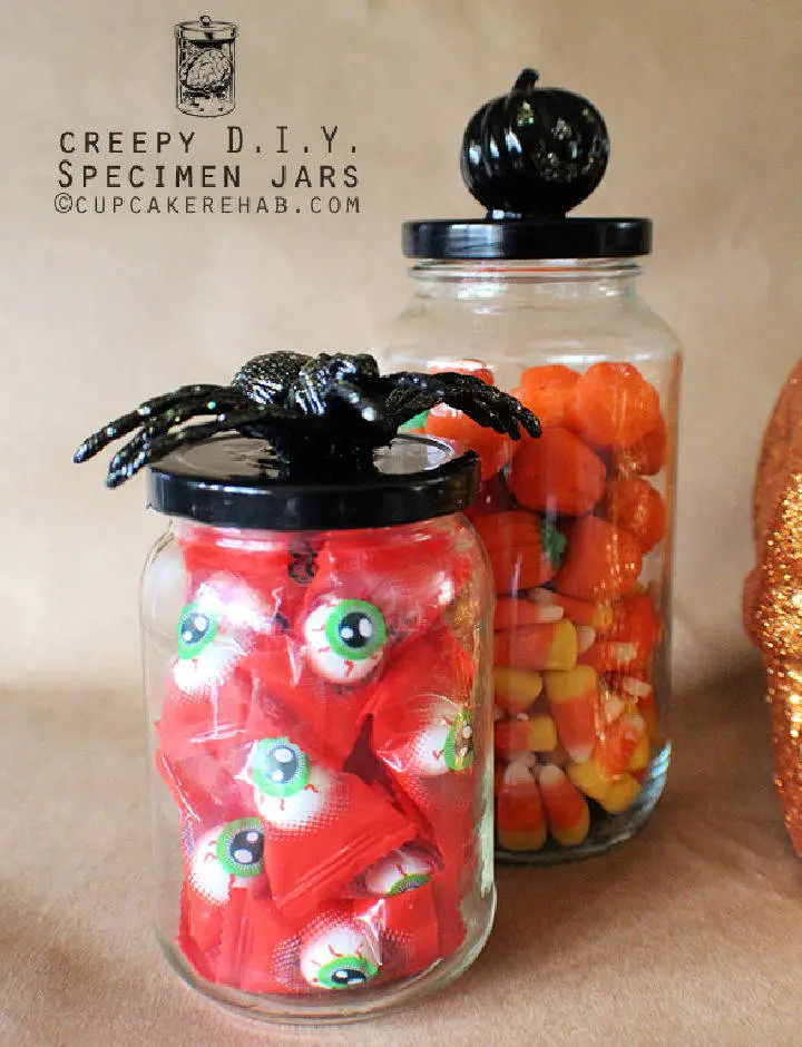 23+ Candy Jar Ideas for Every Occasion 13 Creepy DIY Specimen Jars