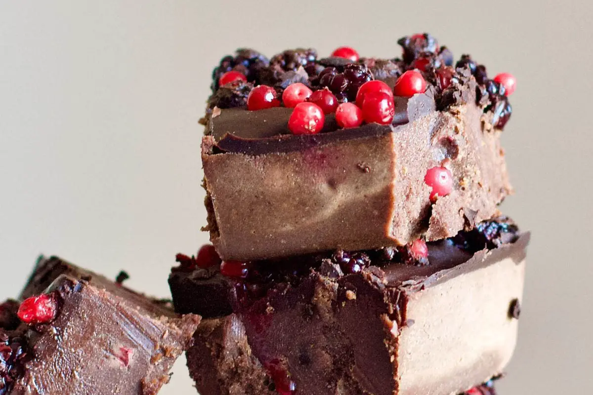 Cranberry Chocolate Fudge Squares