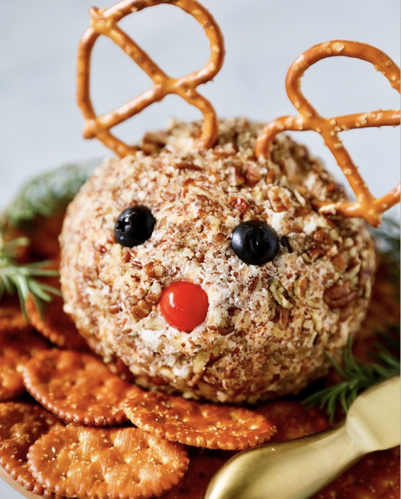 51+ Christmas Party Appetizers Everyone Will Want to Try 3 Reindeer Cheese Ball