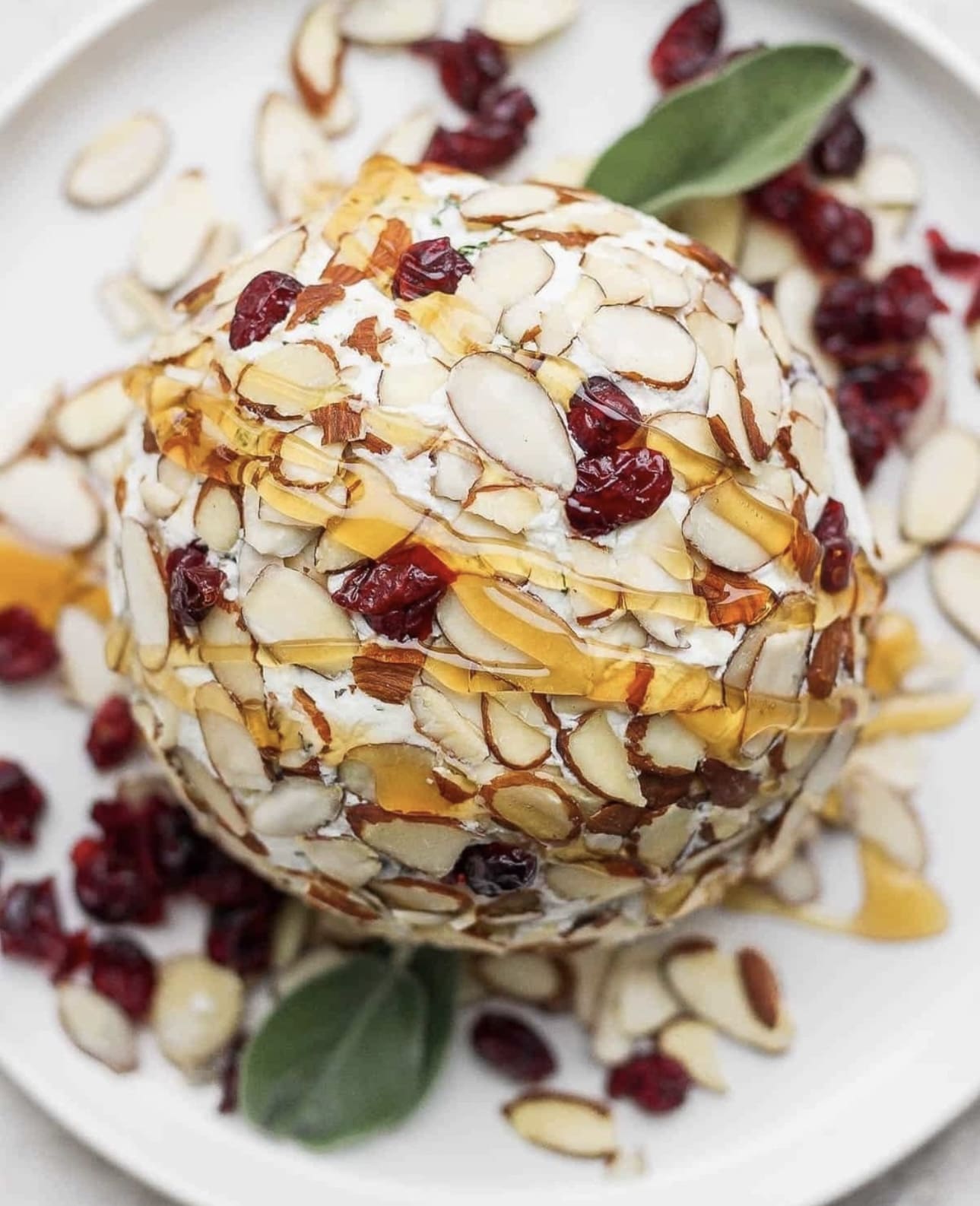 51+ Christmas Party Appetizers Everyone Will Want to Try 19 Honey Drizzled Cranberry Almond Cheese Ball