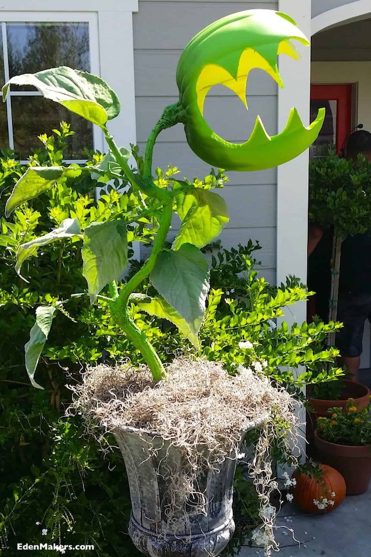 Monstrous Green Flytrap Planter