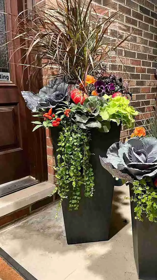 Modern Planter with Edible Elements