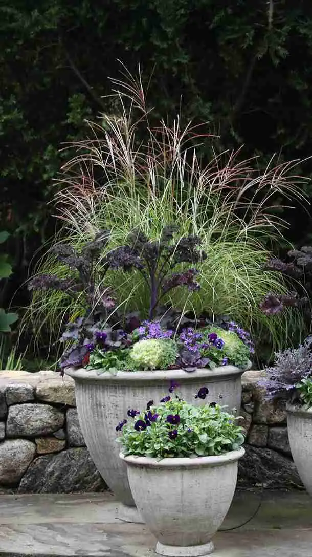 Contemporary Grey Urn with Mums and Kale