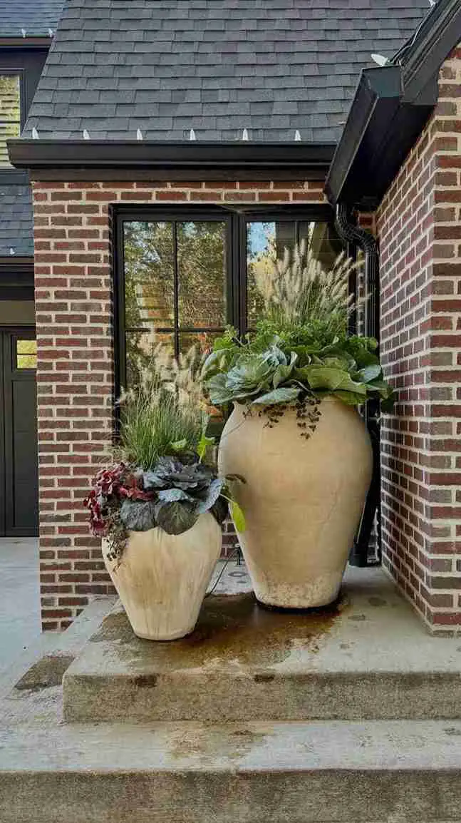 Weathered Clay Urns with Ornamental Cabbage