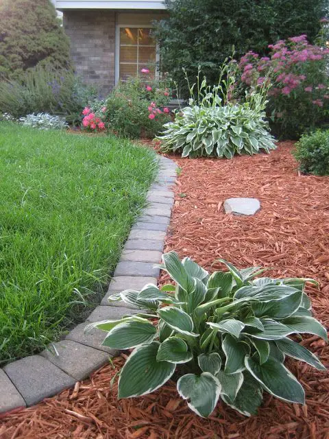 Flush Rectangular Paver Mulch Border