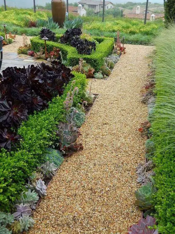 Steel Edging Gravel Succulent Pathway