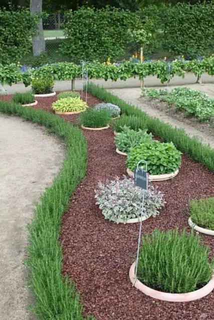 Living Herb Hedge and Ring Edging