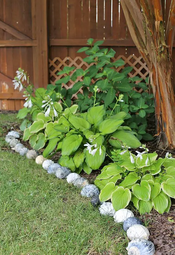 Seashell Garden Bed Border