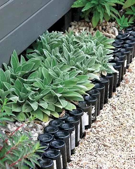 Upcycled Glass Bottle Plant Border