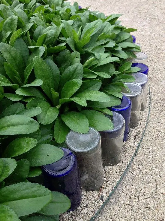 Blue and Clear Glass Bottle Border