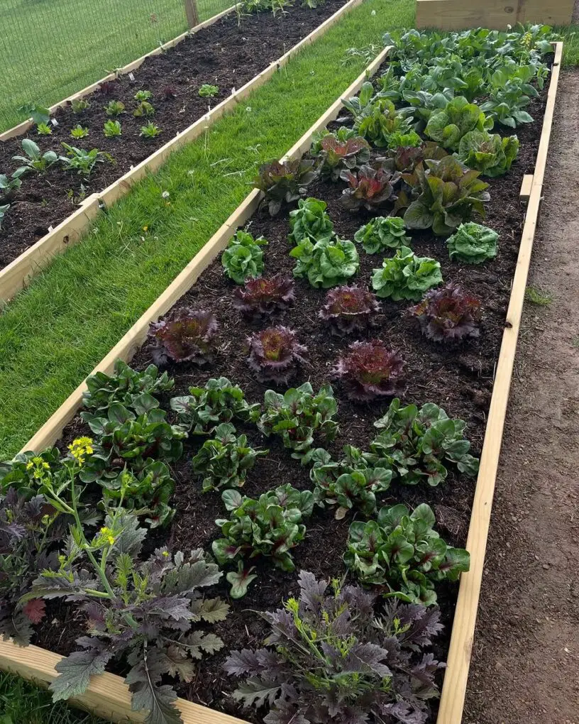 27 Kitchen Garden Ideas for a Beautiful and Productive Space 4 Wooden Raised Garden Beds