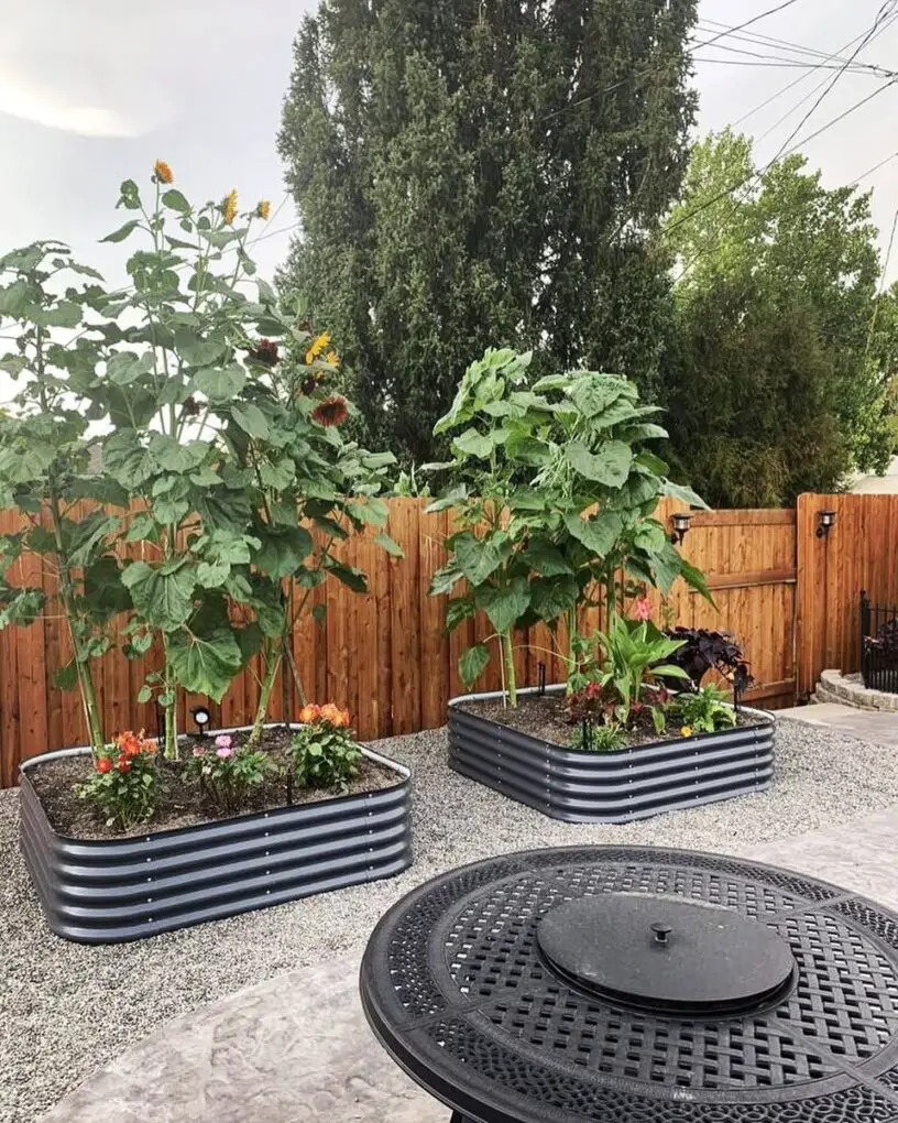 27 Kitchen Garden Ideas for a Beautiful and Productive Space 5 Corrugated Metal Raised Beds