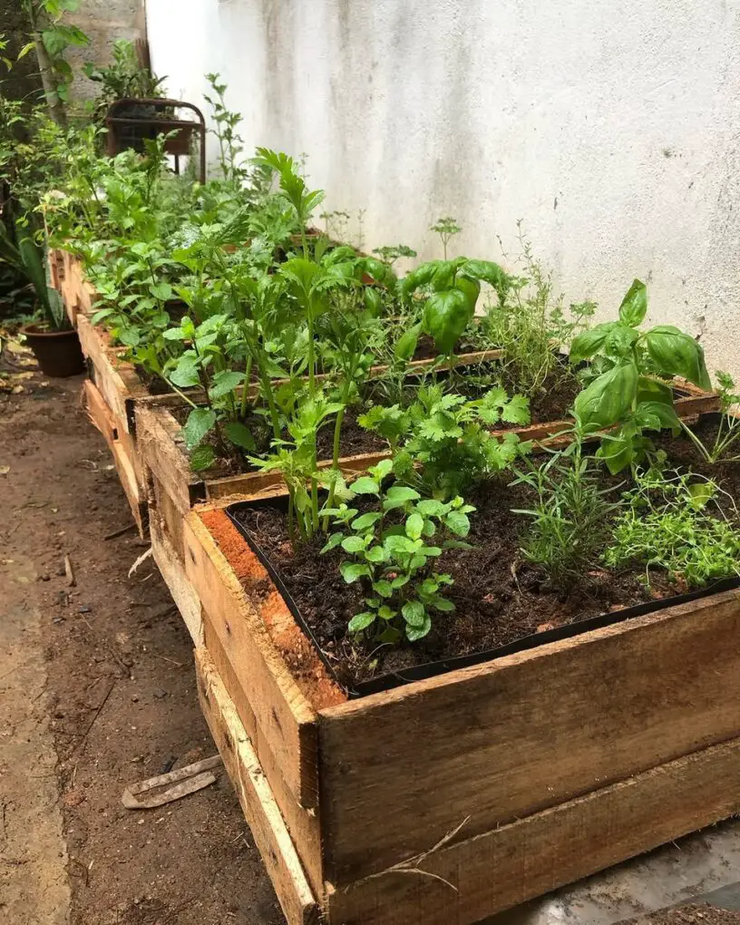 27 Kitchen Garden Ideas for a Beautiful and Productive Space 14 Upcycled Wooden Crate Beds