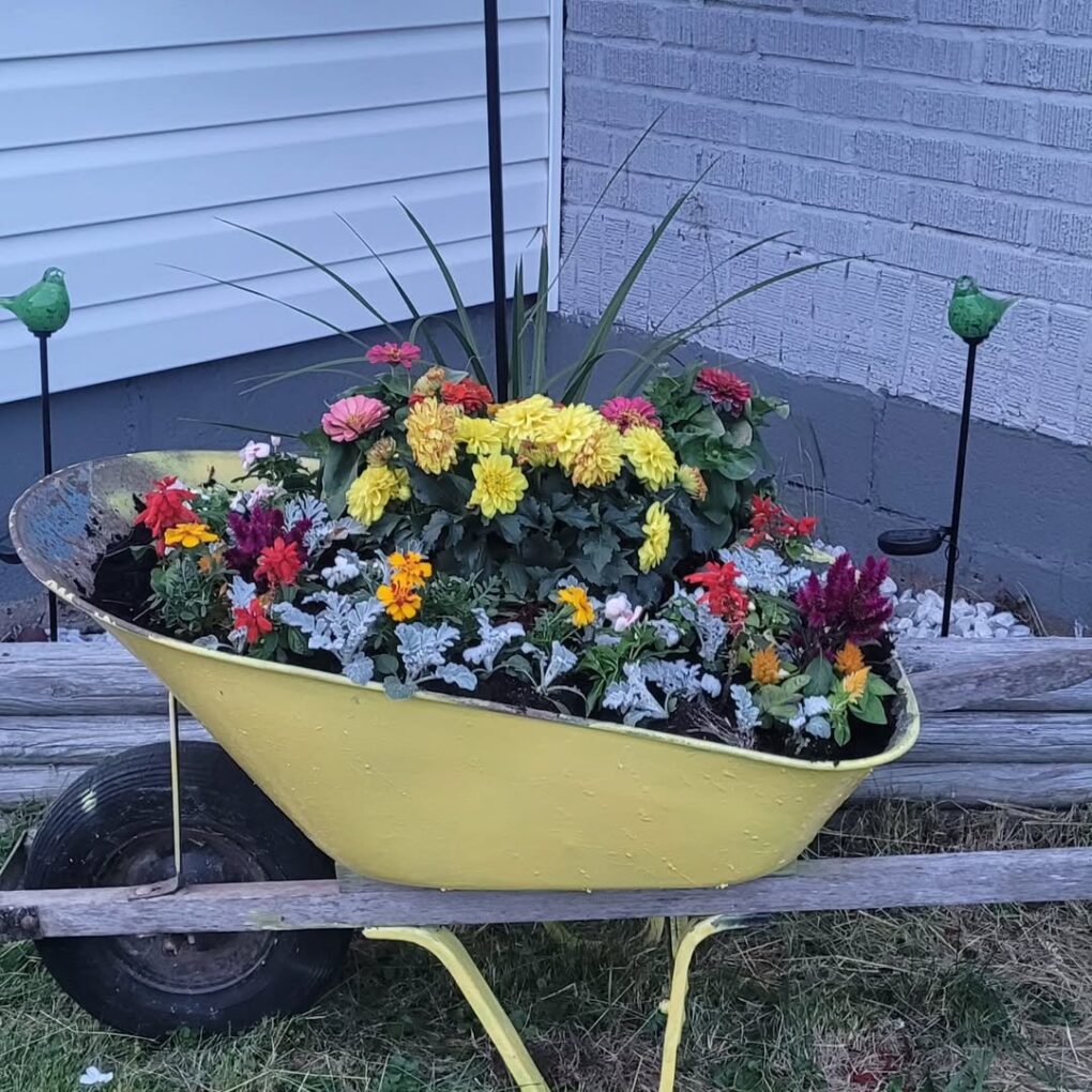 27 Kitchen Garden Ideas for a Beautiful and Productive Space 19 Vintage Wheelbarrow Flower Bed