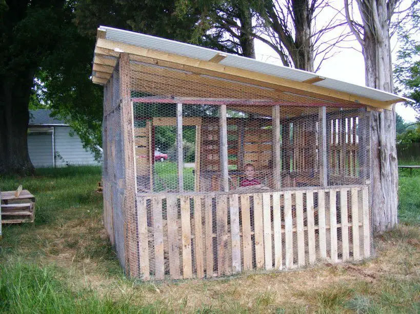 21 Pallet Chicken Coop Ideas for a Budget-Friendly Build 16 Tall Pallet Screened Aviary