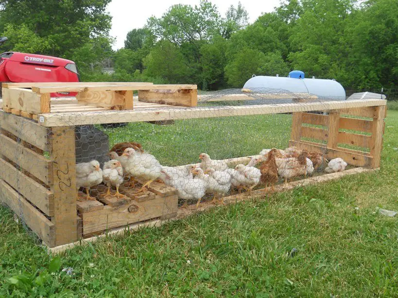 21 Pallet Chicken Coop Ideas for a Budget-Friendly Build 22 Low Profile Pallet Brooder Pen