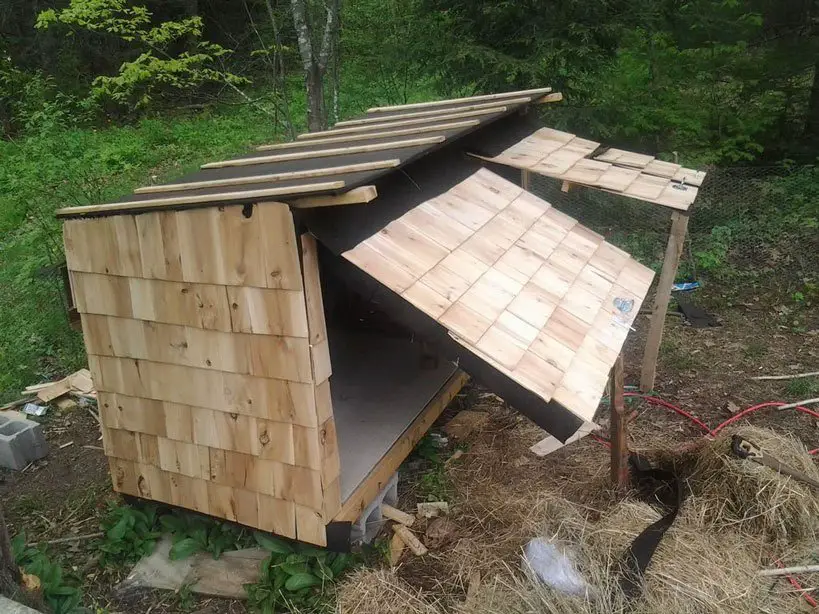 21 Pallet Chicken Coop Ideas for a Budget-Friendly Build 24 Cedar Shingle Roofed Box Coop