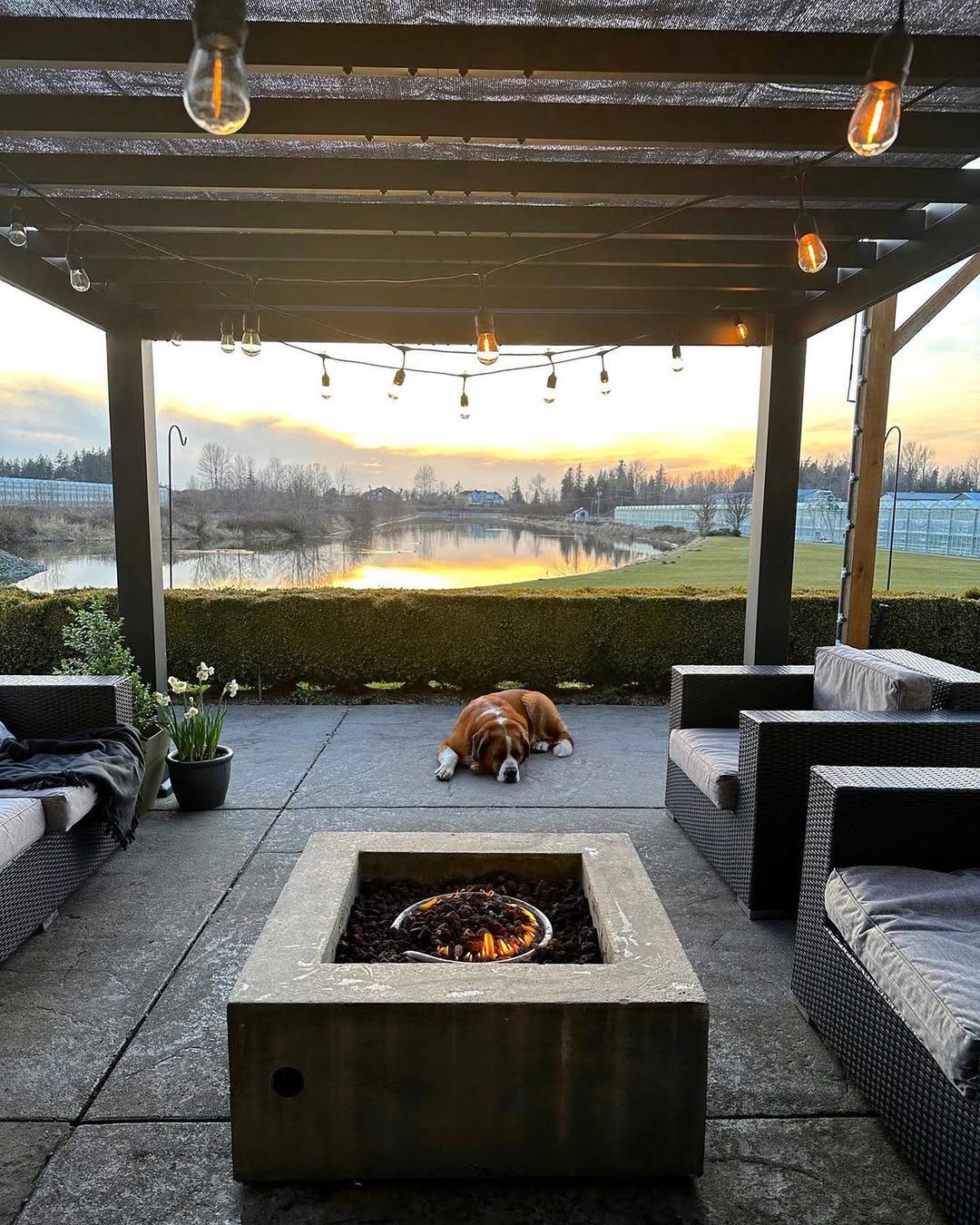 21 Covered Gazebo Ideas for a Beautiful and Cozy Outdoor Space 21 Waterfront View Sunshade Pergola
